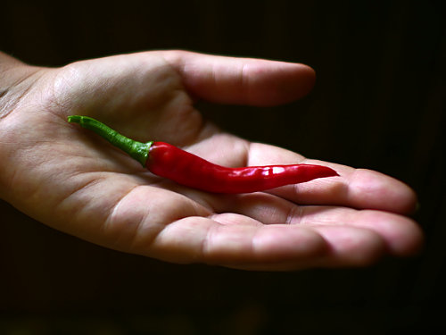  Cayenne Chilli Pod 