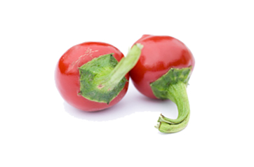  Chiltepin Chilli Pods 