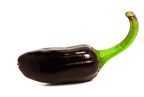  Purple Jalapeno Chilli Pod 