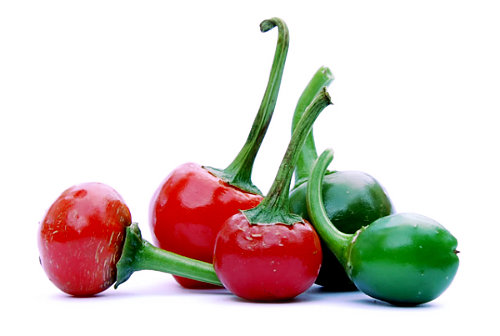  Large Cherry Chilli Pods 