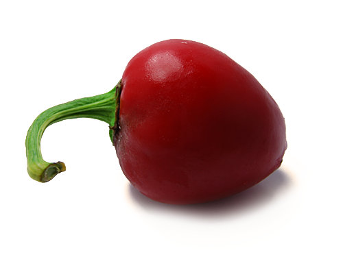  Satan's Kiss Chilli Pod 