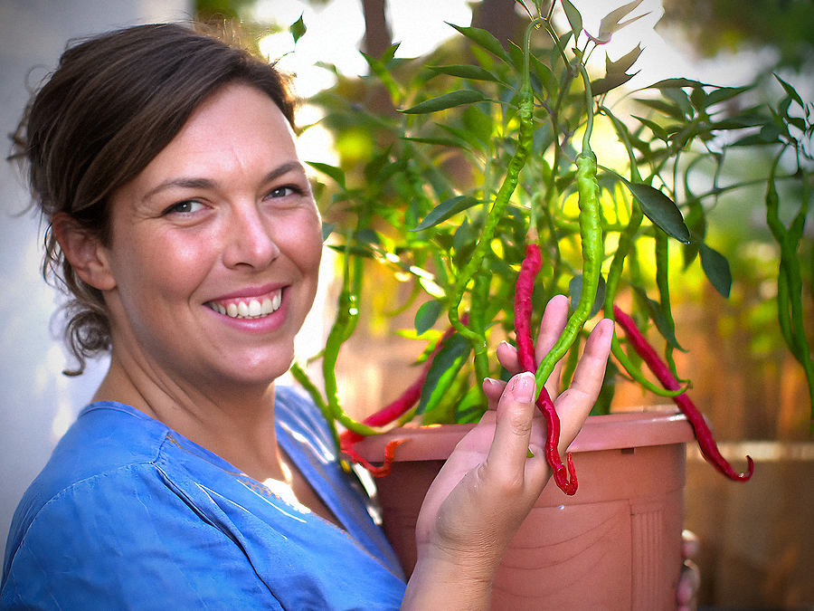 mountain-thunder-chilli-plant