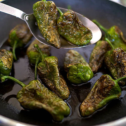 world of chillies pimeineto de padron being cooked