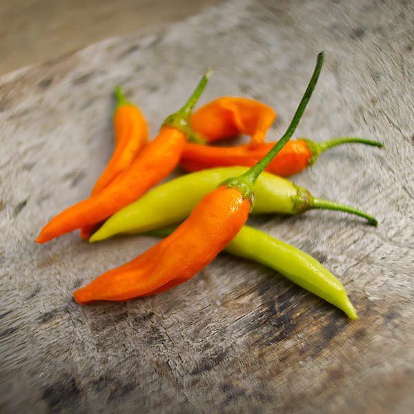 Havana Gold chilli