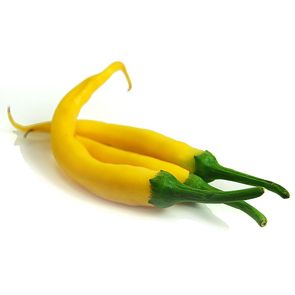 Golden Cayenne chilli