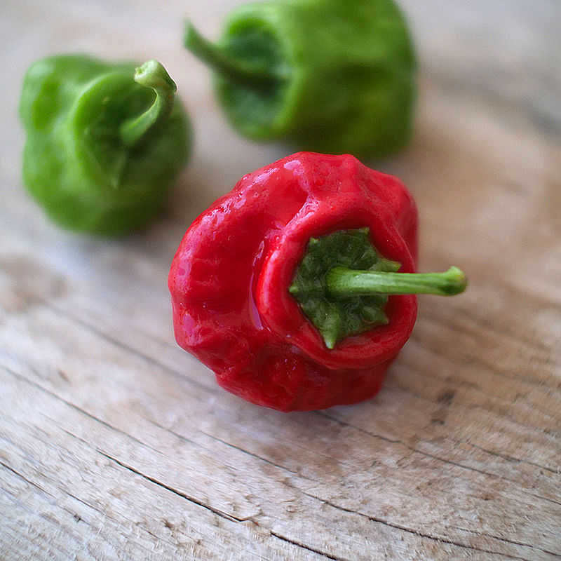 Jamaican Hot chilli