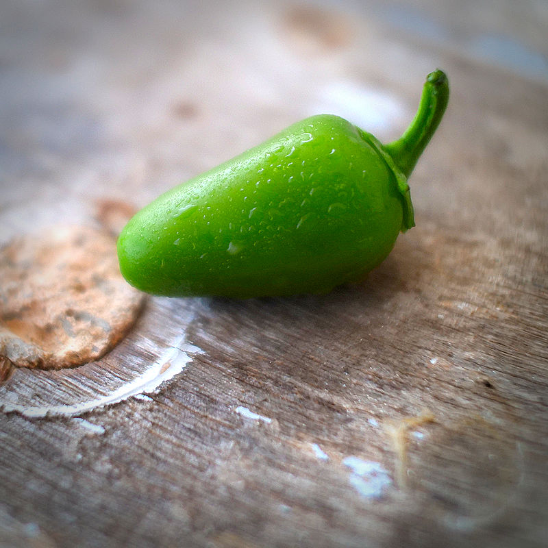 Jalapeno chilli
