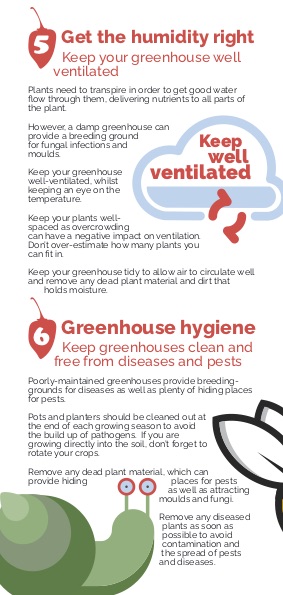 Stacks Image 800366