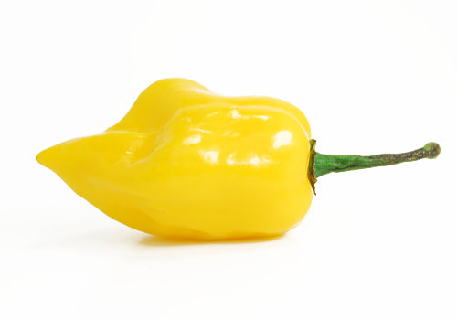  Lemon Habanero Chilli Pod 