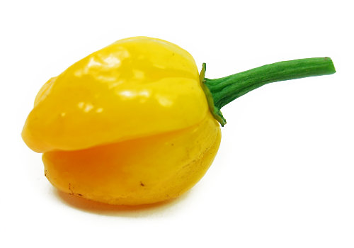  Yellow Habanero Chilli Pod 