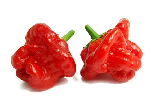  Red Jamaican Hot Chilli Pods 