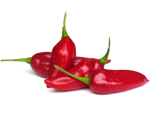  Paper Lantern Chilli Pods 