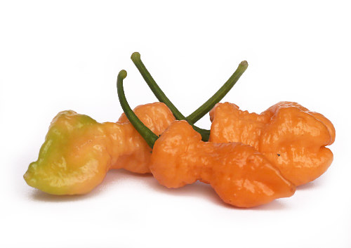  Peach Bhut Jolokia Pods 