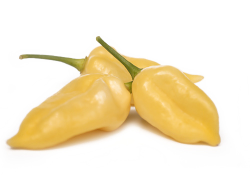  White Bhut Jolokia Chillies 