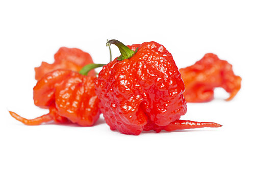  Carolina Reaper Pods 