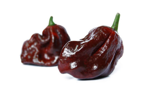  Douglah Chilli Pods 