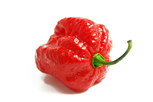  Moruga Scorpion Pod 