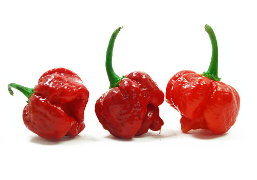  Moruga Scorpion Pods 