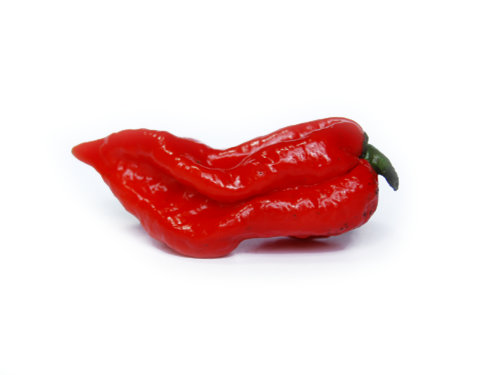  Naga Viper Pod 