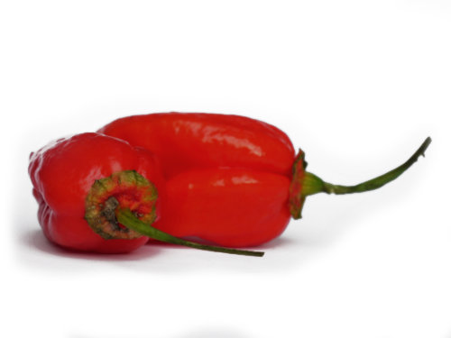  Seven Pot Bubblegum Pods 