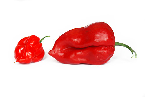  Red Seven Pot Pods 