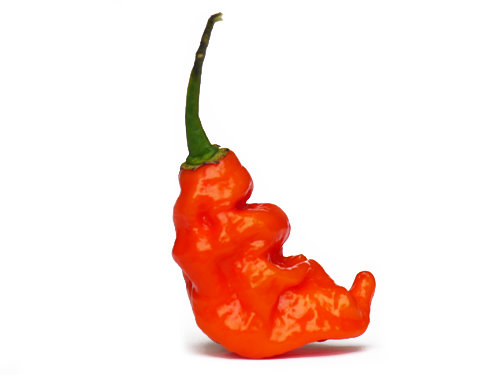  Trinidad Scorpion Pod 