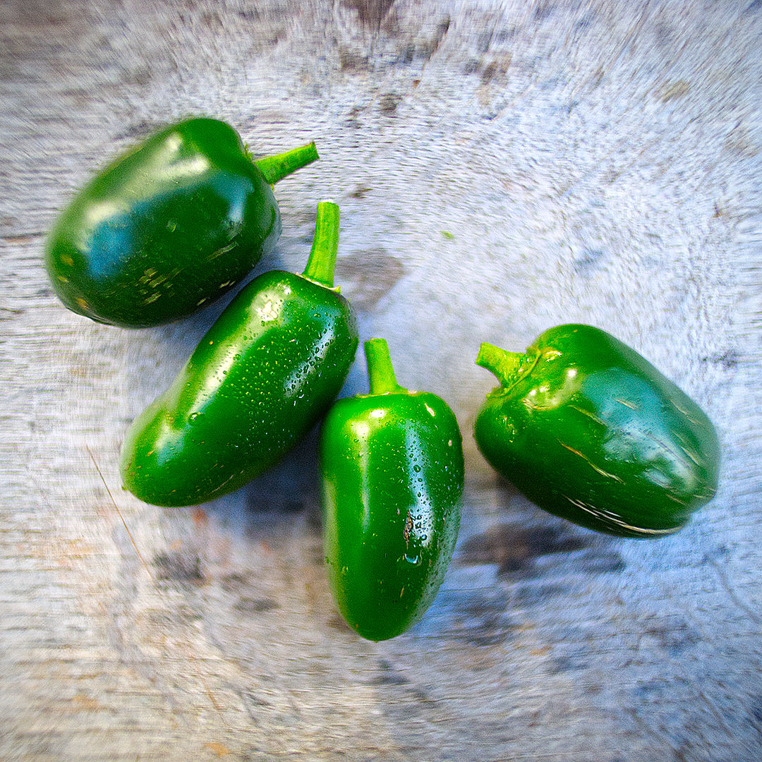 World of Chillies Jalapeno chillies freshly picked