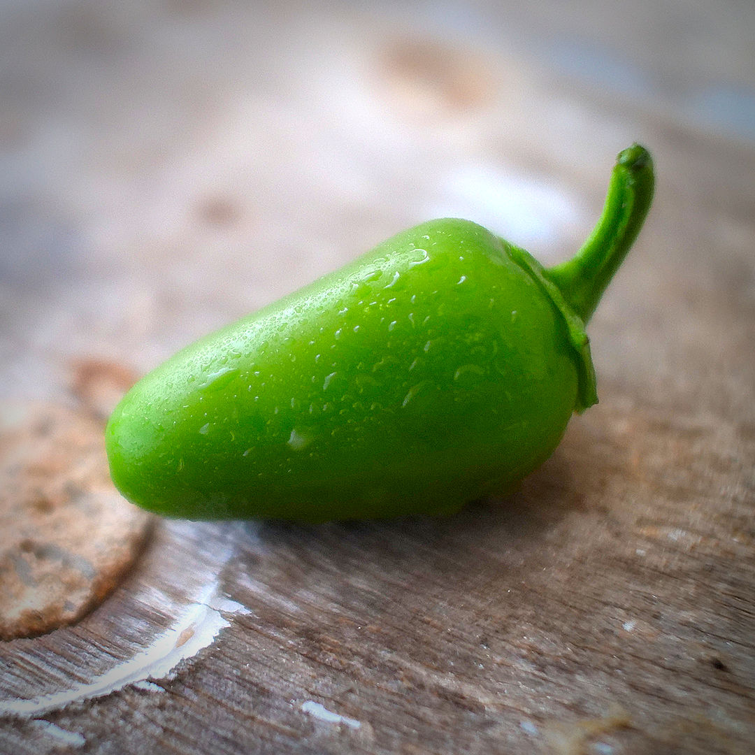 World of Chillies Jalapeno single green chilli