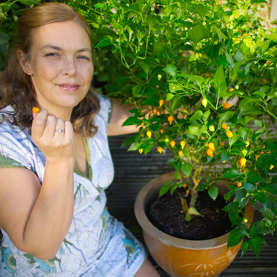World of Chillies grower with potted Yellow Biquinho plant