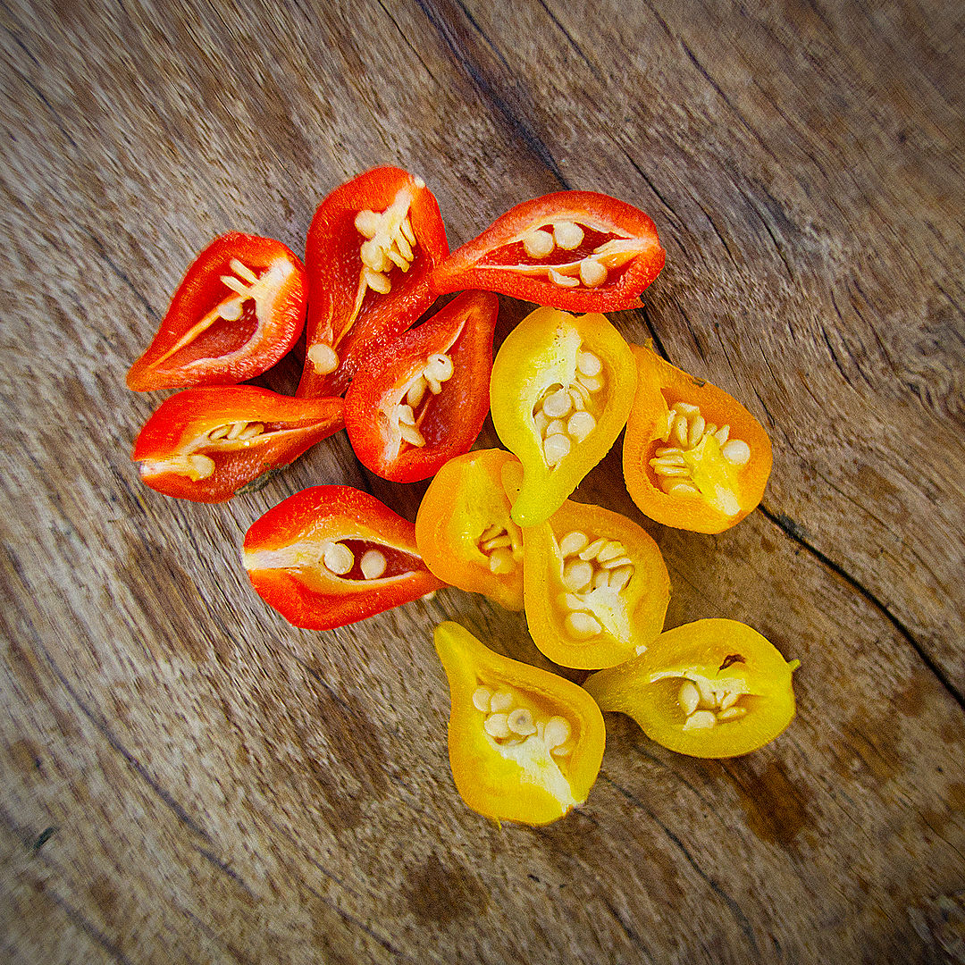 World of Chillies Red and Yellow Biquinho chillies sliced open to show seeds