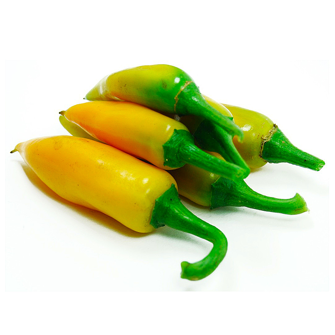 World of Chillies Bulgarian Carrot Chillies on white background