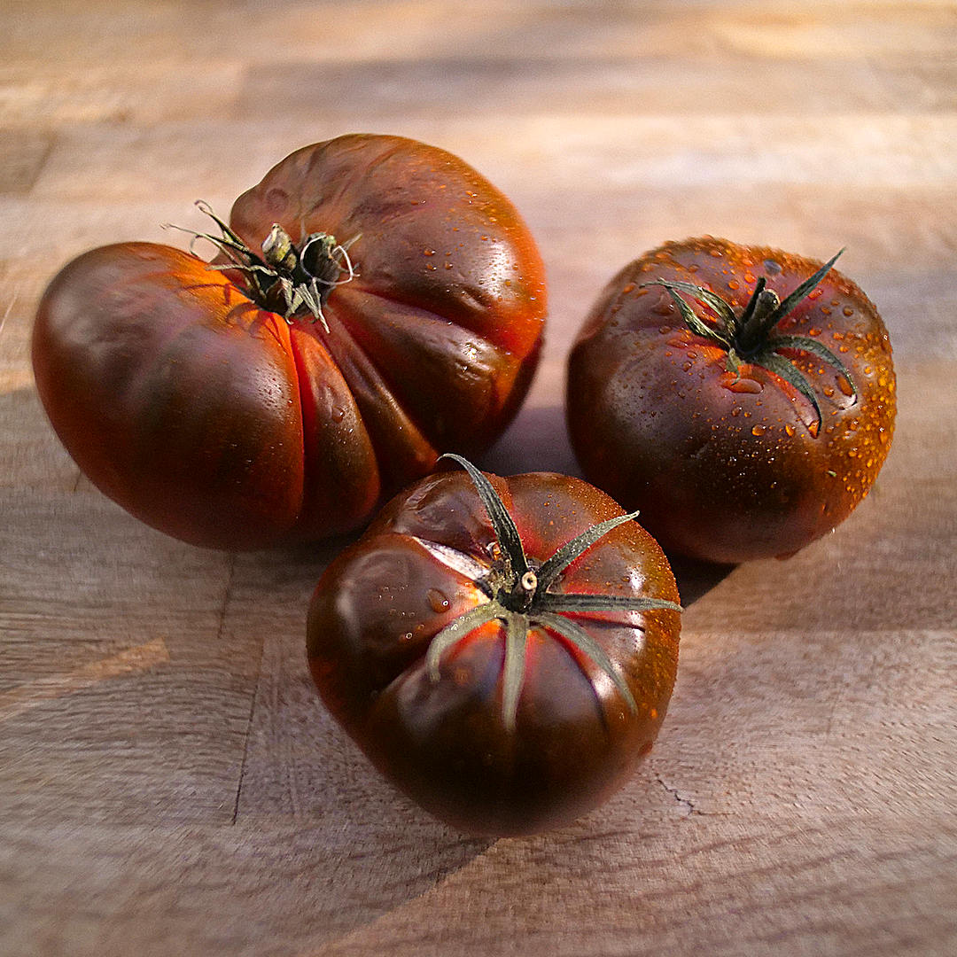 world of chillies purple cherokee beefsteak tomatoes harvested