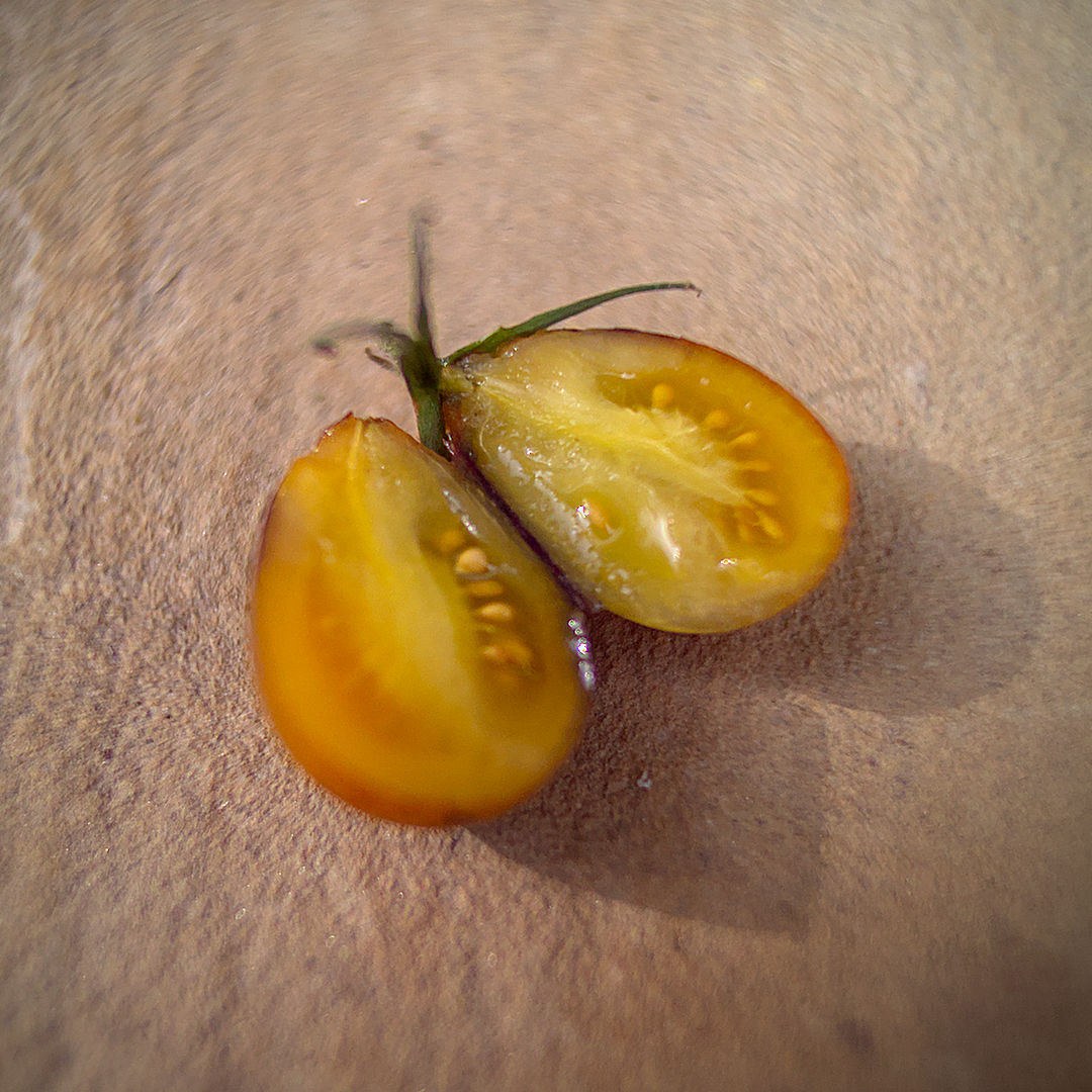 world of chillies indigo pear drop tomato cut lengthways
