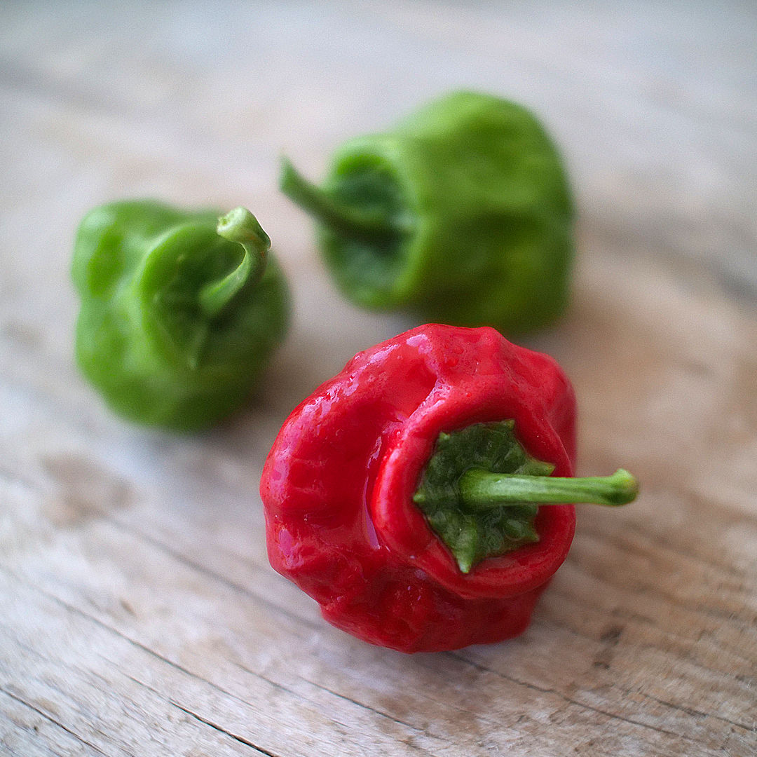 World of Chillies Jamaican Hot red and green chillies on wood