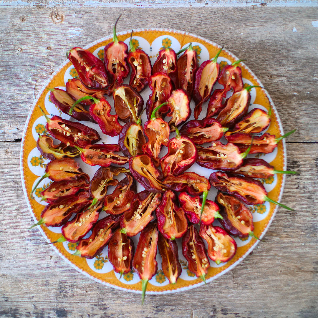 World of Chillies Kraken chillies sliced open on plate showing seeds and flesh