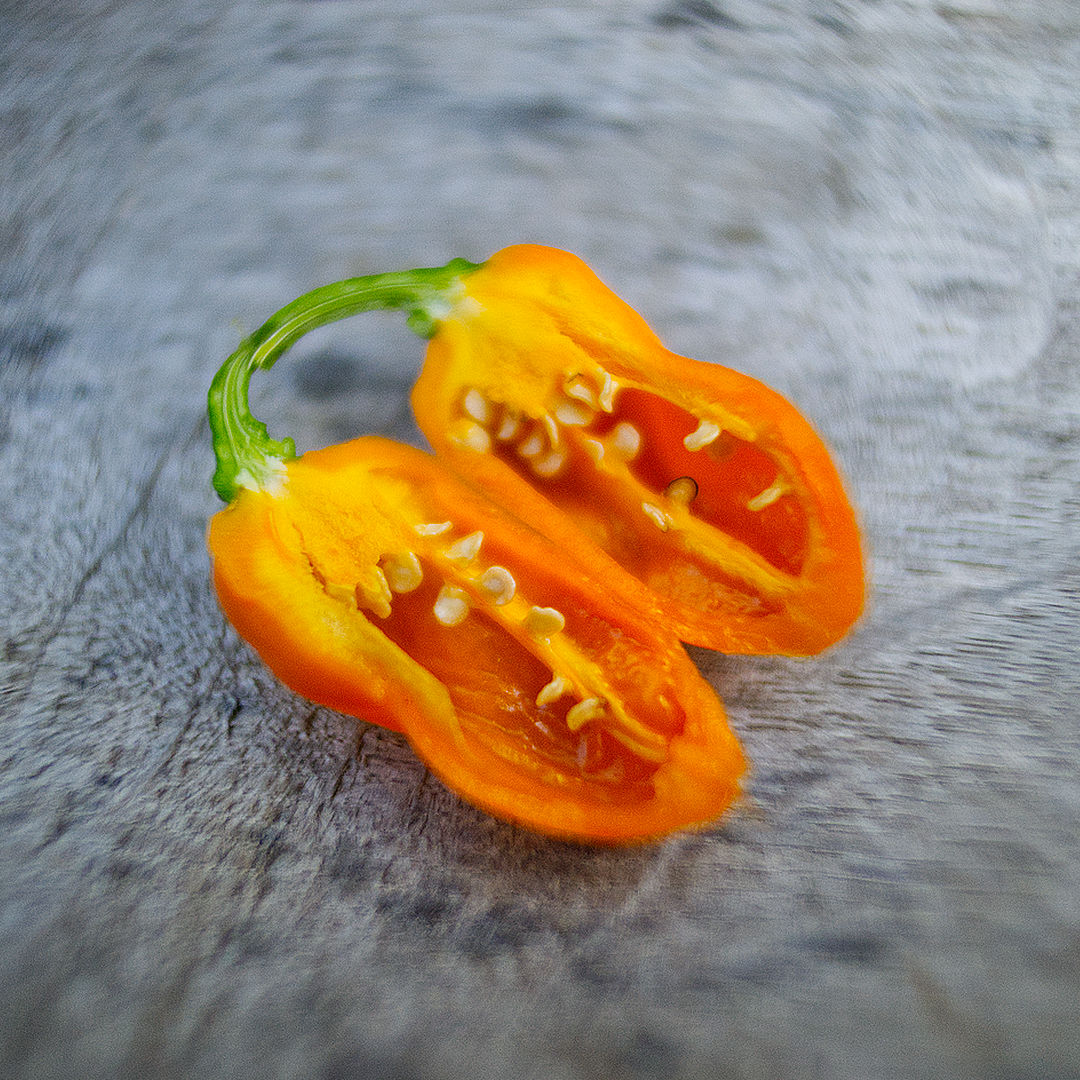 World of Chillies Lemon Habanero chilli sliced open to show seeds
