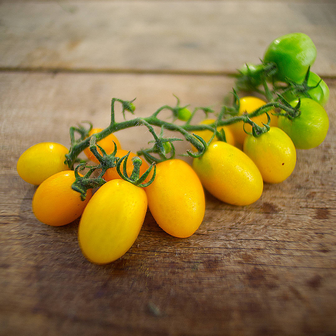 world of chillies limoncello tomatoes truss on board