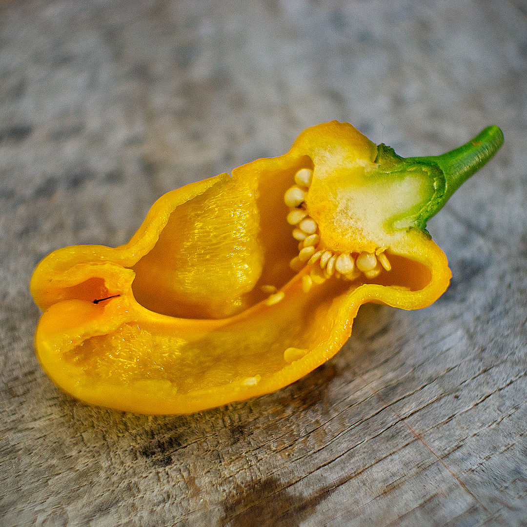 World of Chillies sliced Pepperoncini pod showing flesh and seeds