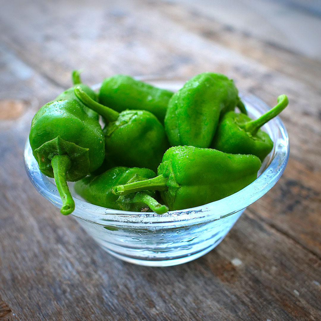World of Chillies Pimiento de Padron green chillies in glass bowl