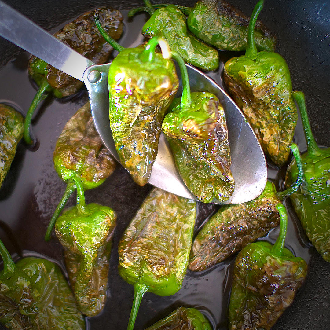 World of Chillies Pimiento de Padron chillies frying in pan for tapas