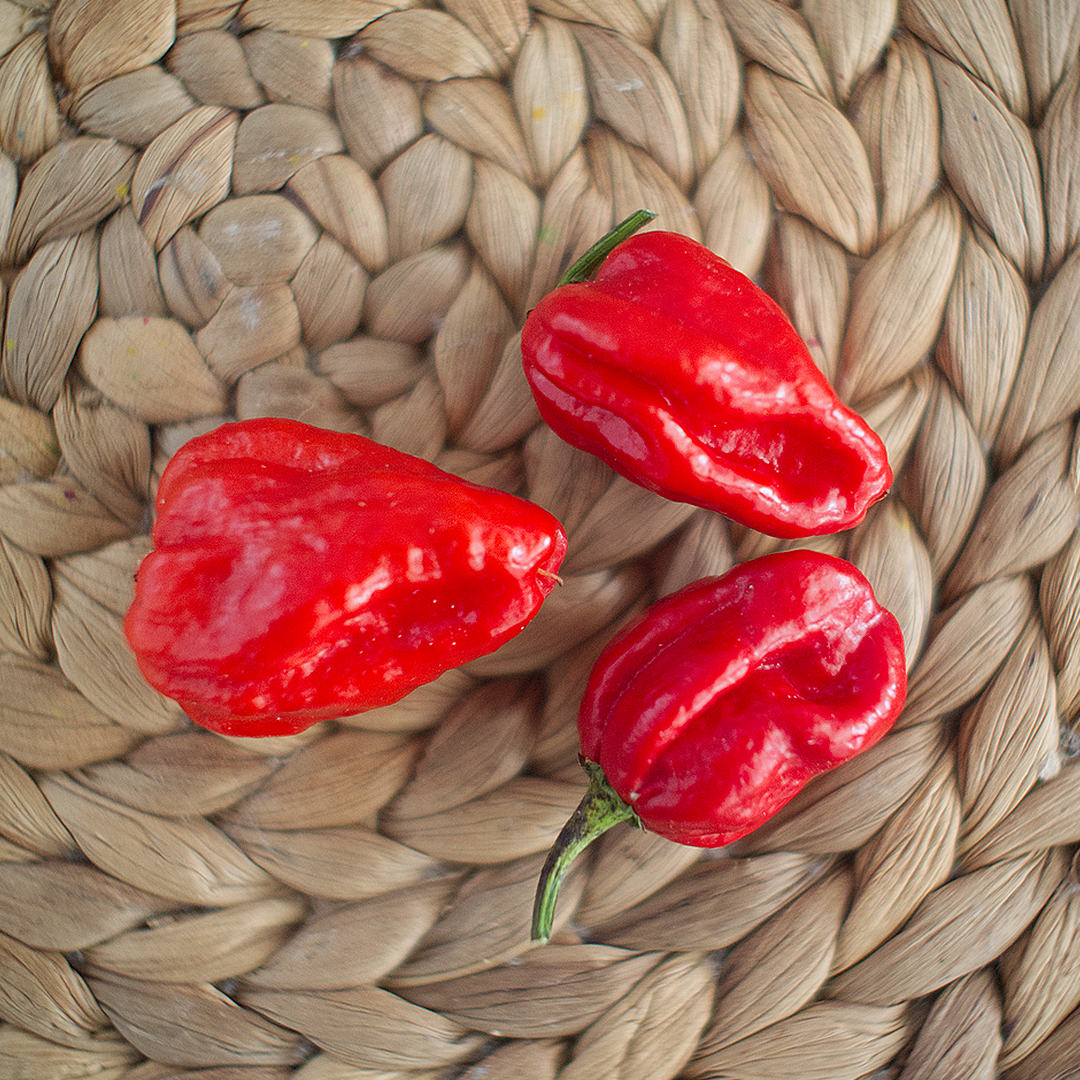 World of Chillies freshly picked Red Seven Pot Chillies on a woven mat