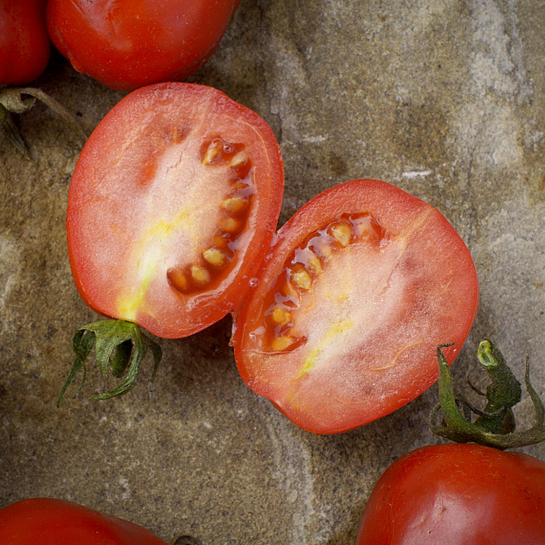 world of chillies roma tomato cut open showing dense flesh and low seed content