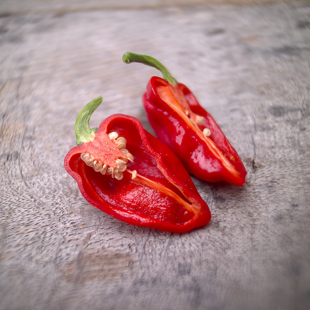 World of Chillies 7 Pot Barrackpore chilli cut open showing seeds