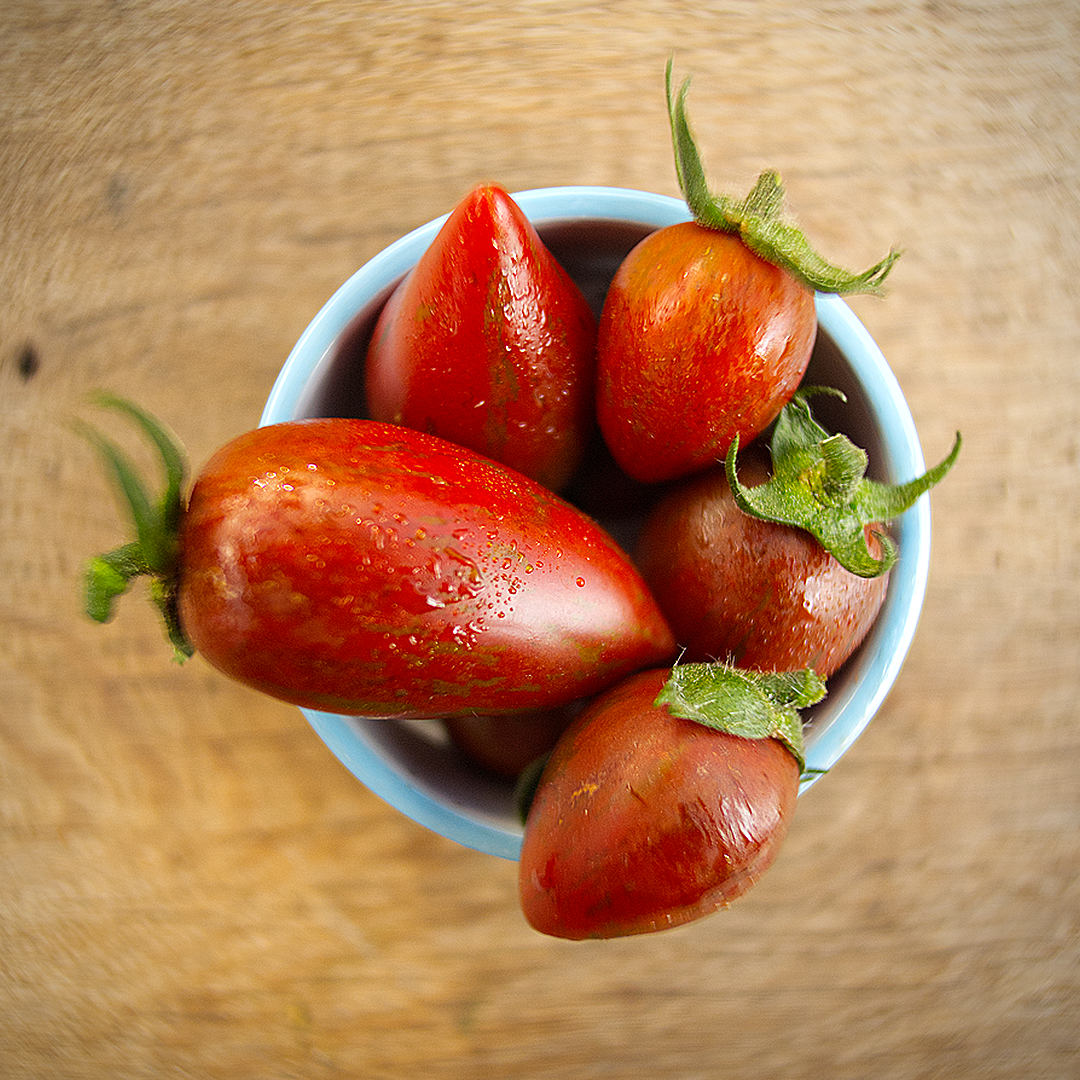 world of chillies shimmer tomato harvested fruit in bowl