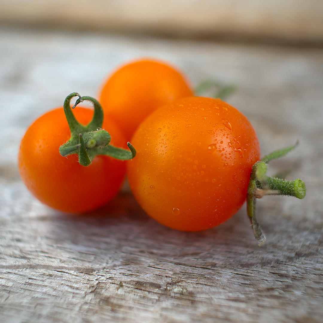 world of chillies sungold tomatoes picked on a board