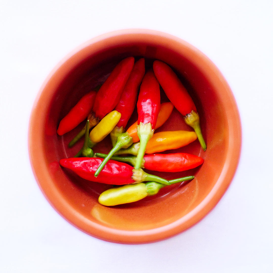 World of Chillies hand holding red and yellow Tabasco chillies