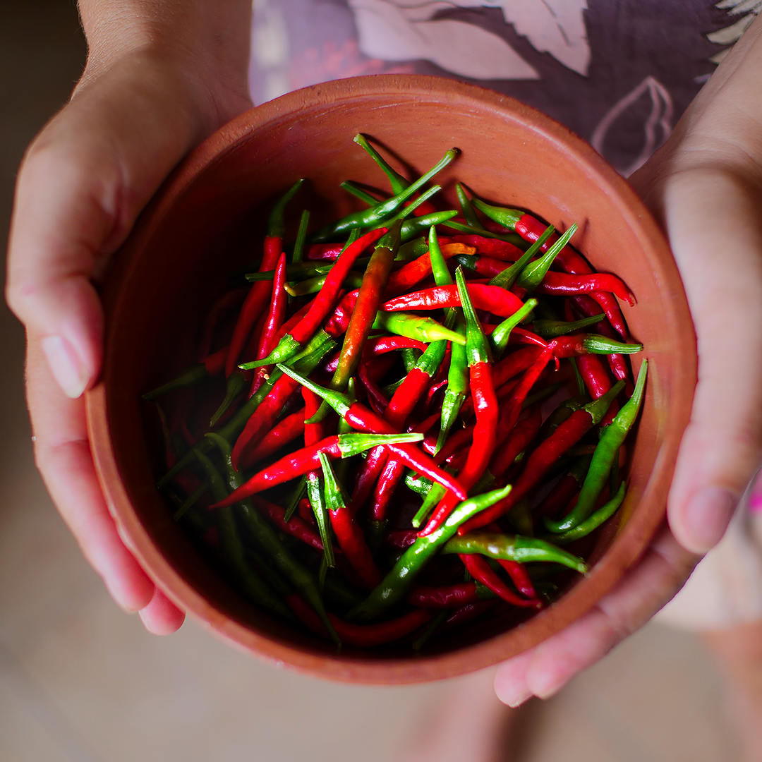 World of Chillies Thai Dragon chillies in terracotta bowl