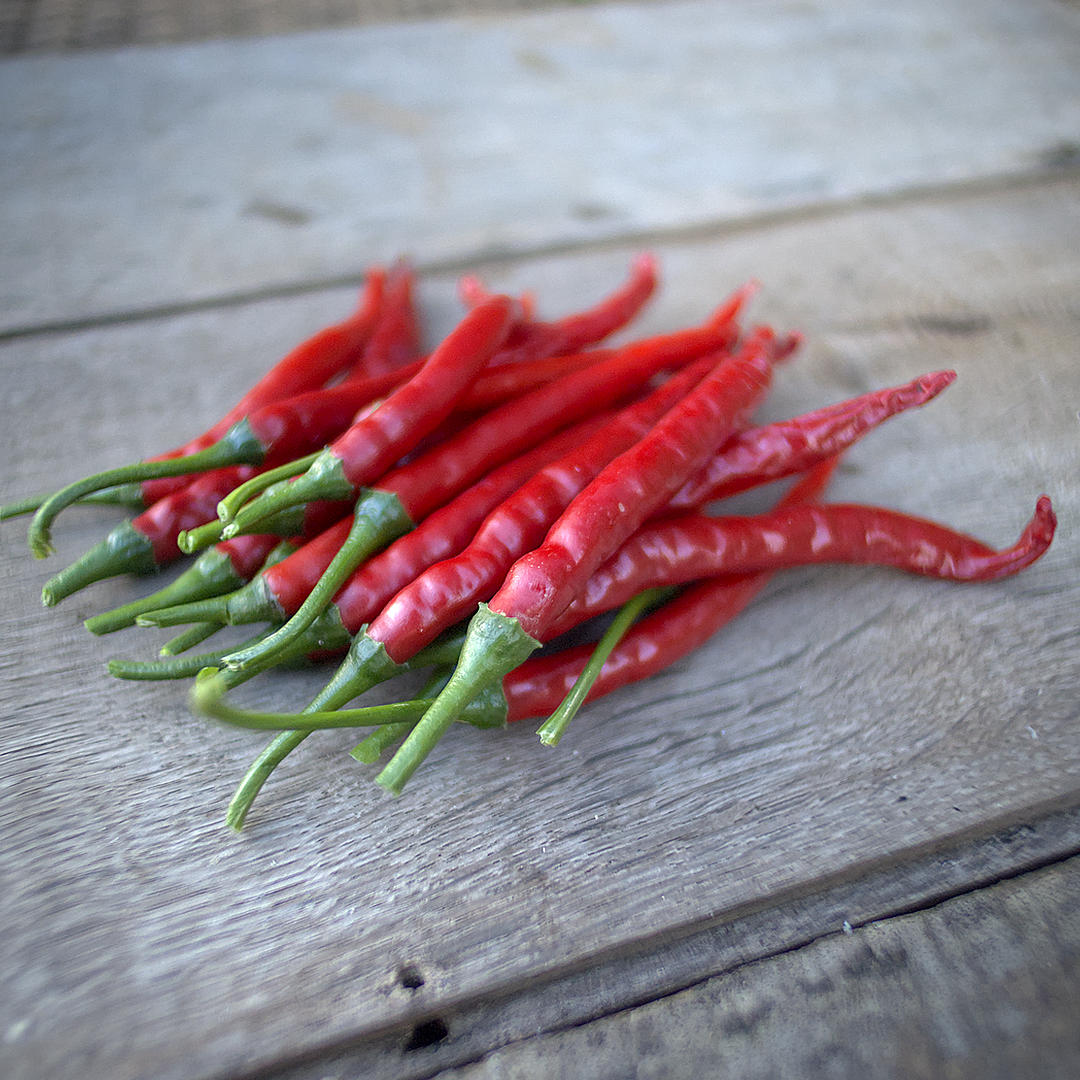 World of Chillies Anatolian Green (Sivri Biber) red chilli pods