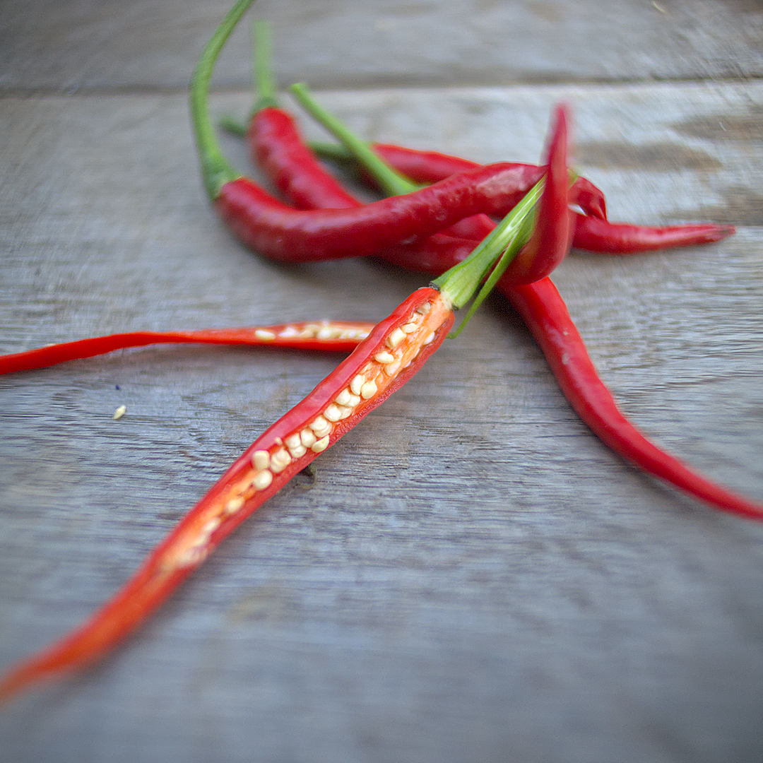 World of Chillies Turkish Snake chilli cut open lengthways