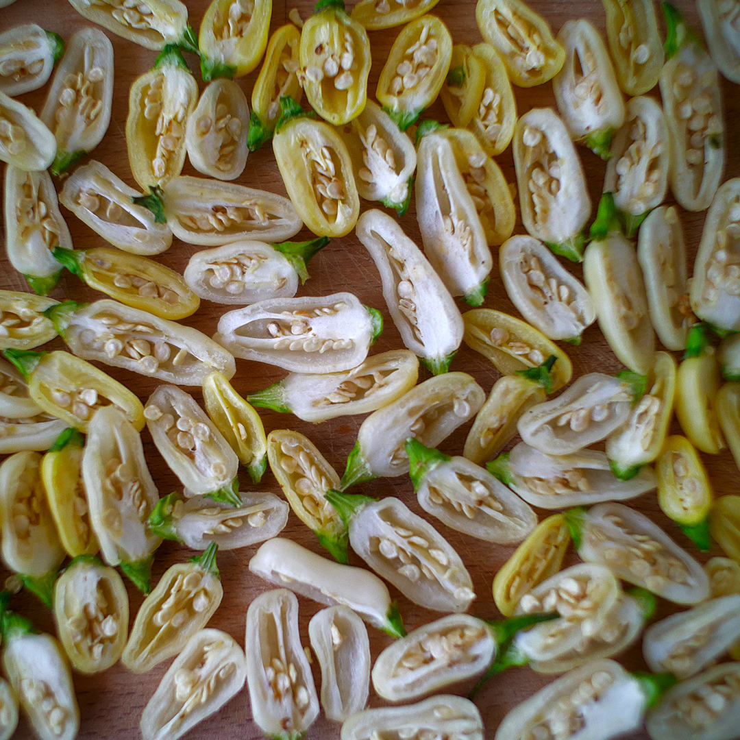 World of Chillies White Habanero cut open